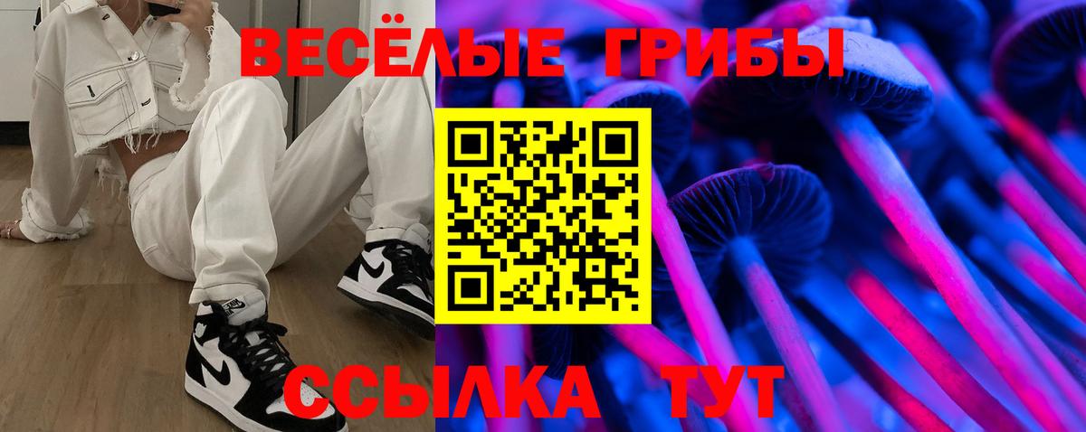 Озёры  Псилоцибиновые грибы Cubensis  Вход с VPN 
