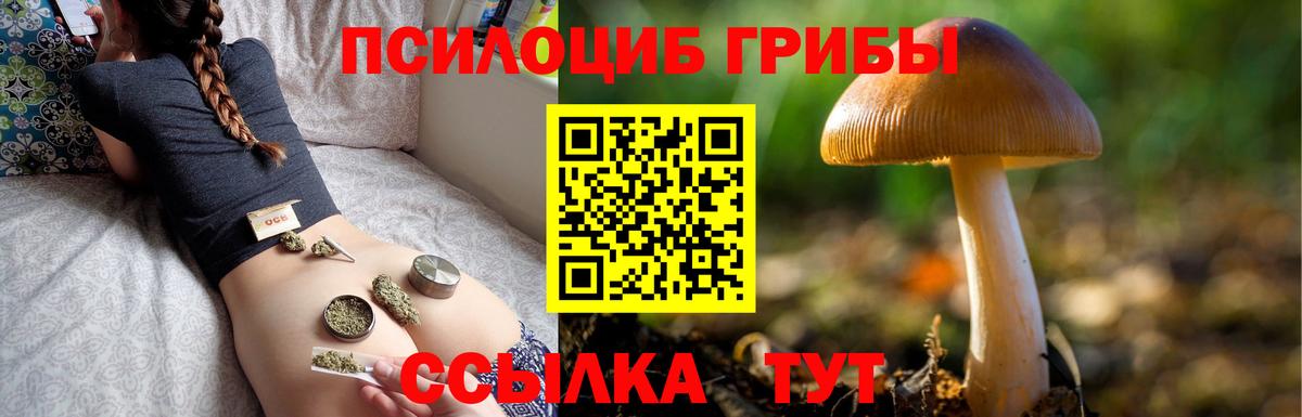 Псилоцибиновые грибы Magic Shrooms Озёры